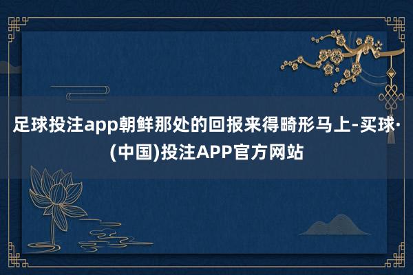 足球投注app朝鲜那处的回报来得畸形马上-买球·(中国)投注APP官方网站