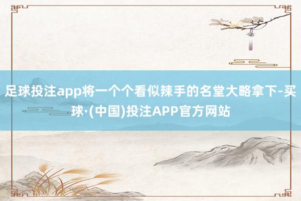 足球投注app将一个个看似辣手的名堂大略拿下-买球·(中国)投注APP官方网站