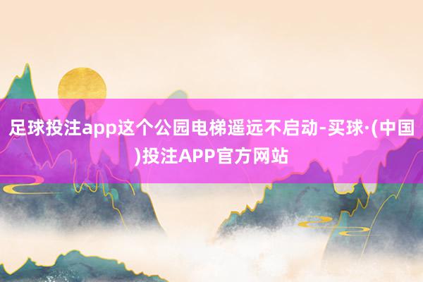 足球投注app这个公园电梯遥远不启动-买球·(中国)投注APP官方网站