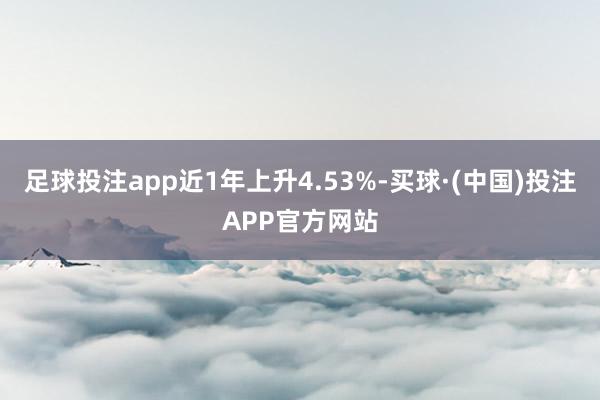 足球投注app近1年上升4.53%-买球·(中国)投注APP官方网站