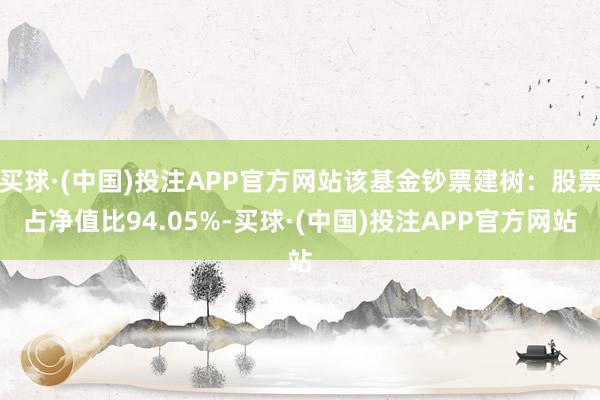 买球·(中国)投注APP官方网站该基金钞票建树：股票占净值比94.05%-买球·(中国)投注APP官方网站