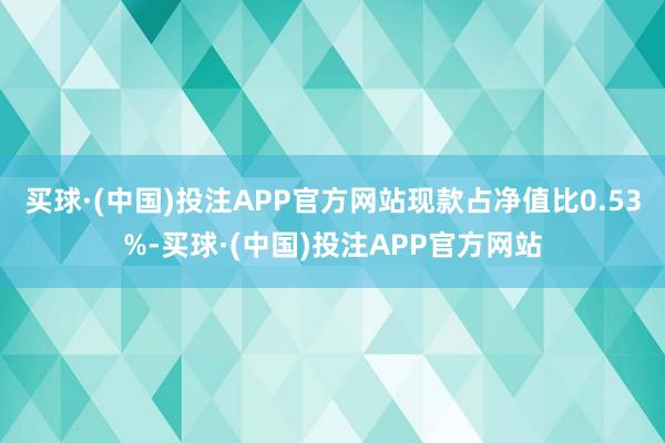 买球·(中国)投注APP官方网站现款占净值比0.53%-买球·(中国)投注APP官方网站