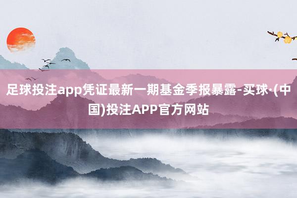 足球投注app凭证最新一期基金季报暴露-买球·(中国)投注APP官方网站
