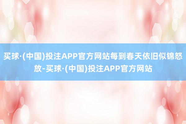 买球·(中国)投注APP官方网站每到春天依旧似锦怒放-买球·(中国)投注APP官方网站