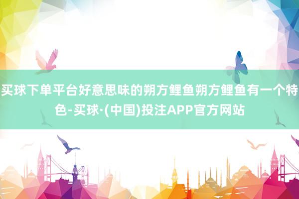 买球下单平台好意思味的朔方鲤鱼朔方鲤鱼有一个特色-买球·(中国)投注APP官方网站