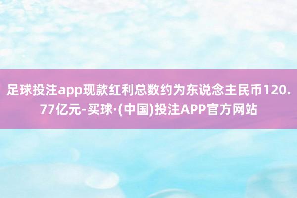 足球投注app现款红利总数约为东说念主民币120.77亿元-买球·(中国)投注APP官方网站