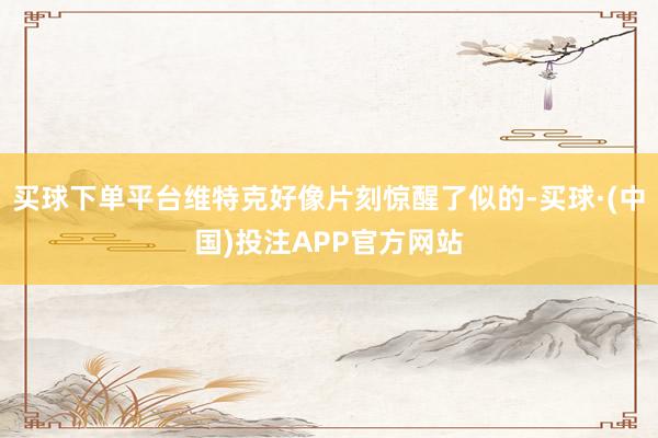买球下单平台维特克好像片刻惊醒了似的-买球·(中国)投注APP官方网站