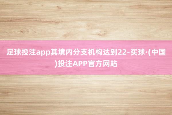 足球投注app其境内分支机构达到22-买球·(中国)投注APP官方网站
