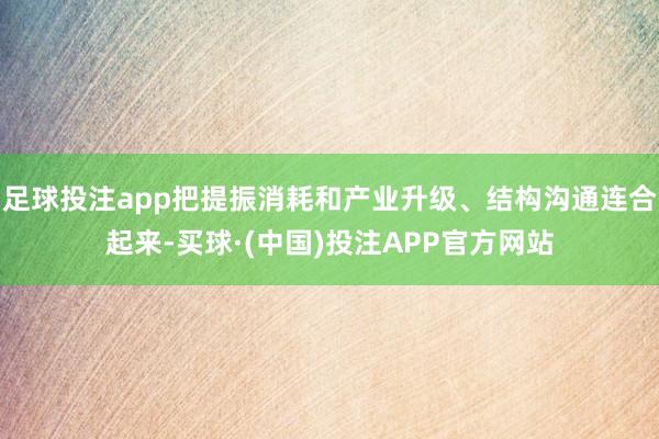 足球投注app把提振消耗和产业升级、结构沟通连合起来-买球·(中国)投注APP官方网站