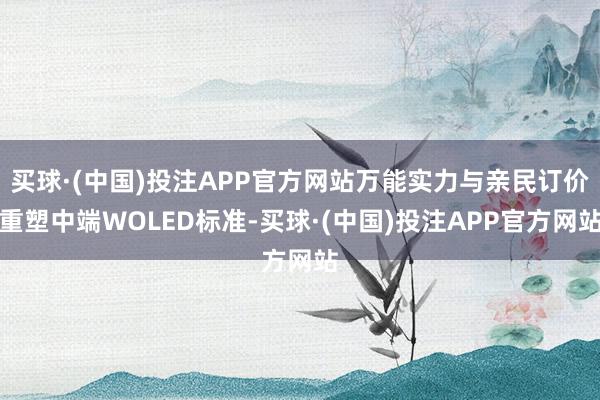 买球·(中国)投注APP官方网站万能实力与亲民订价重塑中端WOLED标准-买球·(中国)投注APP官方网站