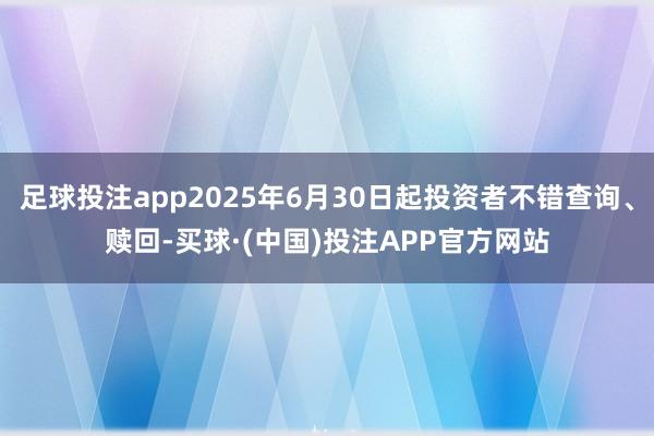 足球投注app2025年6月30日起投资者不错查询、赎回-买球·(中国)投注APP官方网站
