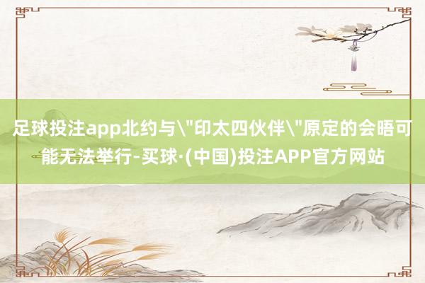 足球投注app北约与＂印太四伙伴＂原定的会晤可能无法举行-买球·(中国)投注APP官方网站