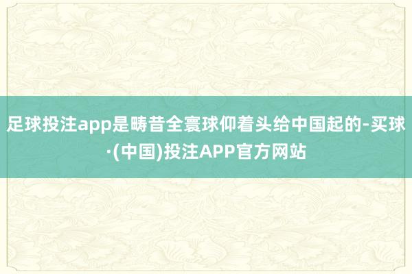 足球投注app是畴昔全寰球仰着头给中国起的-买球·(中国)投注APP官方网站