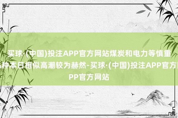 买球·(中国)投注APP官方网站煤炭和电力等慎重型品种本日相似高潮较为赫然-买球·(中国)投注APP官方网站