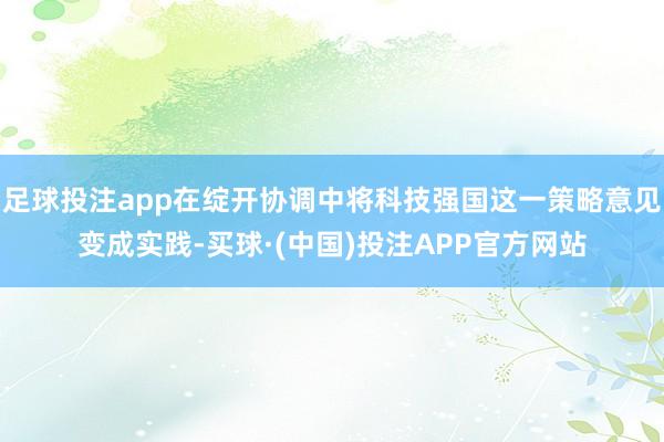 足球投注app在绽开协调中将科技强国这一策略意见变成实践-买球·(中国)投注APP官方网站