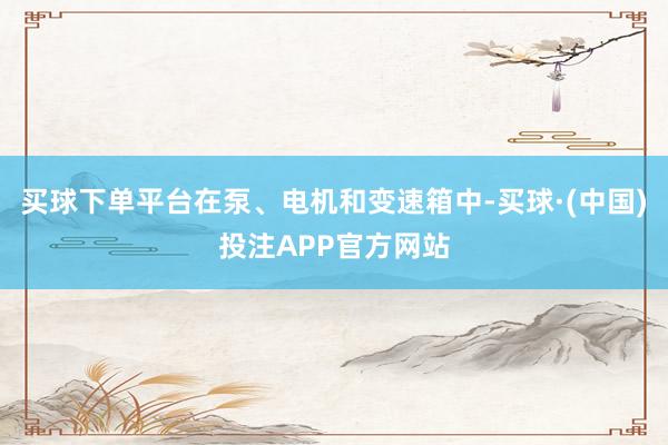 买球下单平台在泵、电机和变速箱中-买球·(中国)投注APP官方网站