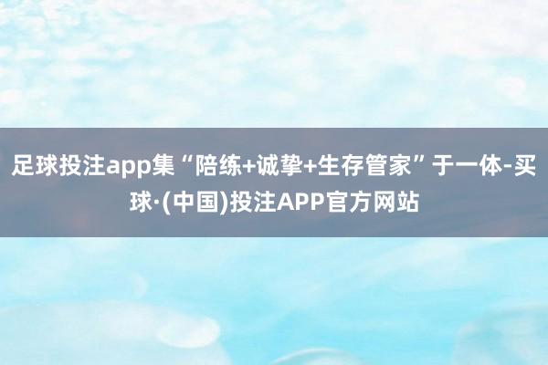 足球投注app集“陪练+诚挚+生存管家”于一体-买球·(中国)投注APP官方网站