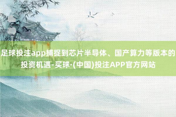 足球投注app捕捉到芯片半导体、国产算力等版本的投资机遇-买球·(中国)投注APP官方网站