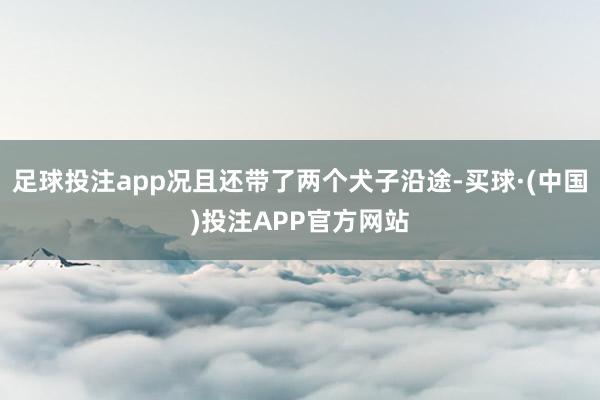 足球投注app况且还带了两个犬子沿途-买球·(中国)投注APP官方网站