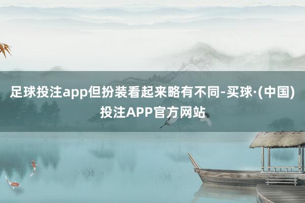 足球投注app但扮装看起来略有不同-买球·(中国)投注APP官方网站