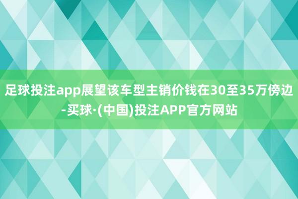 足球投注app展望该车型主销价钱在30至35万傍边-买球·(中国)投注APP官方网站