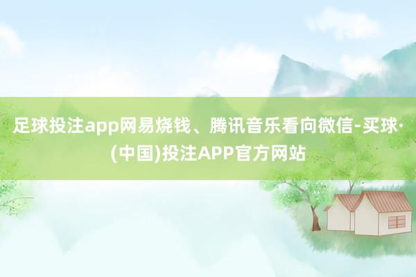 足球投注app网易烧钱、腾讯音乐看向微信-买球·(中国)投注APP官方网站