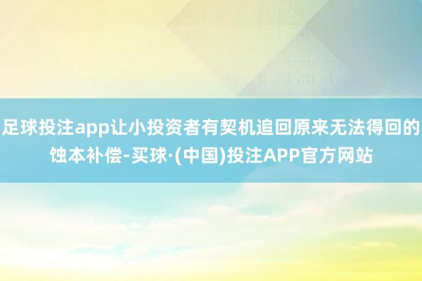 足球投注app让小投资者有契机追回原来无法得回的蚀本补偿-买球·(中国)投注APP官方网站